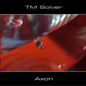TM Solver - Axon-2010.jpg