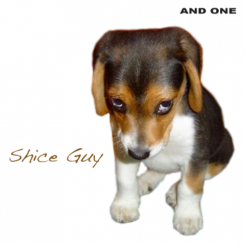 And One - Shice Guy (2012).png