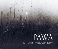 NIKO_S Feat. Testamentum Terrae - Pawa (2011).jpg