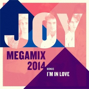 Joy - Megamix 2014.jpg