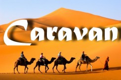 camel-caravan-merzouga1.jpg