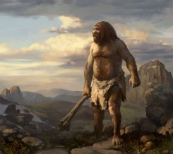 neandertal01.webp