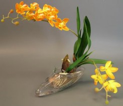 цветок орхидея.jpg