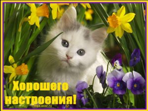 2015-04-11 14-50-31 Рабочий стол.png