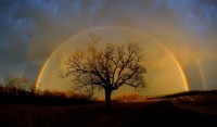 secondary-rainbow.jpg