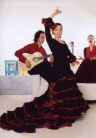 a_flamenco01.jpg