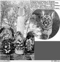Памятник погибшим на войне собакам, которые защищали Киев, в селе Легедзино под Уманью