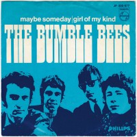 Bumble Bees - Maybe Someday..jpg