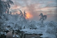 beautiful_winter_01.jpg