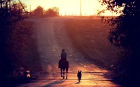 People_Rider_and_the_dog_for_a_walk_047797_18.jpg