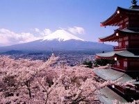 Cherry_Blossoms_And_Mount_Fuji,_Japan.jpg