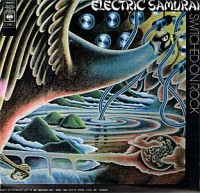 Electric Samurai