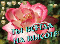 ТЫ ВСЕГДА НА ВЫСОТЕ.gif