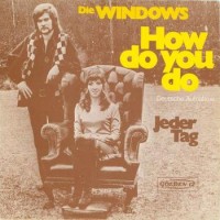 The Windows - How Do You Do.jpg