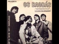 Os Baobas - Bye bye my darling.jpg