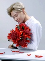 kim-jonghyun---a-million-roses