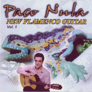 new-flamenco-guitar-1