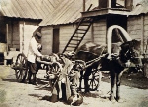 6-kazaki-snosyat-arbuzyi.-1875-1876