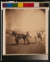 nubian-servants-&-horses