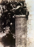 1854-auguste-salzmann-cactus-sur-une-colonne-de-la-porte-judiciaire-jerusalem