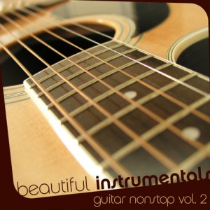 beautiful-instrumentals-guitar-non-stop-vol-2