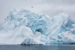 Ученые подтвердили таяние Антарктиды снизу 