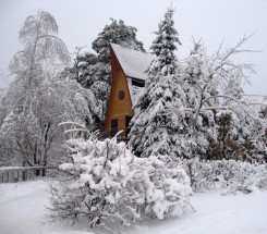 snejnyie-syujetyi