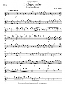268-mozart-symphony-40-1st-mvt-flute-0