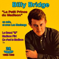 billy-bridgeles-mustangs---ce-