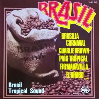 front-1975-brasil-tropical-sound-–-brasil---france
