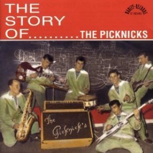 the_picknicks_story_of