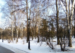 zimniy-park