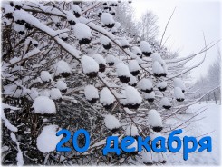 20-dekabrya---zimnie-korzinochki