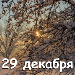 29-dekabrya