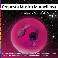 meets-spanish-guitar-vol-12