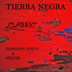 classic-flamenco-nuevo-strings