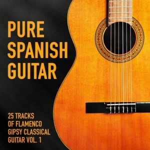 pure-spanish-guitar-vol-1-25-tracks-of-flamenco-gipsy-classical-guitar