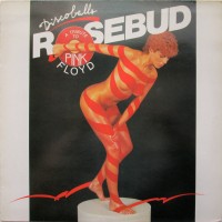 front---1977---rosebud---discoballs-(a-tribute-to-pink-floyd)