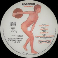 face-1---1977---rosebud---discoballs-(a-tribute-to-pink-floyd)