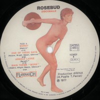 face-2---1977---rosebud---discoballs-(a-tribute-to-pink-floyd)