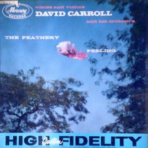 david-carroll_the-feathery-feeling