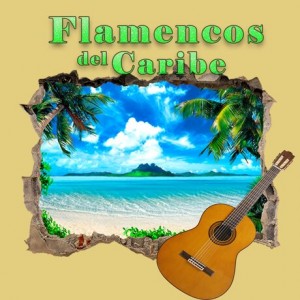 flamenco-del-caribe