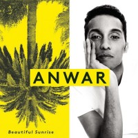 anwar---how-can-i-do