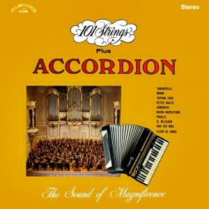 101-strings_101-strings-accordion