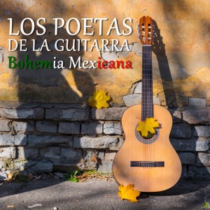 bohemia-mexicana