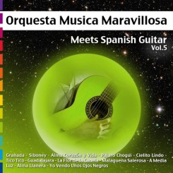 meets-spanish-guitar-vol-5