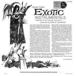 exotic-instrumentals---lp-back