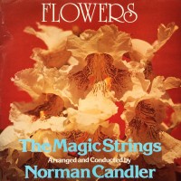 front-1981---the-magic-strings-norman-candler---flowers,-germany