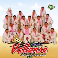 banda-vallense---el-pistolero-(canción-del-mariachi)