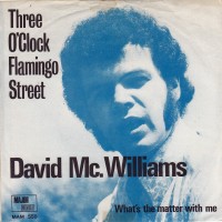 david-mcwilliams---3-oclock-flamingo-street